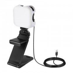 Φωτισμός τηλεδιάσκεψης Neewer PL81Pro