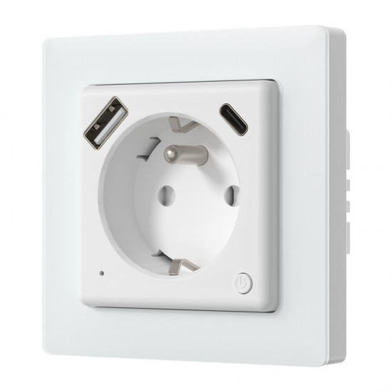 Avatto WOT20-FR Smart plug