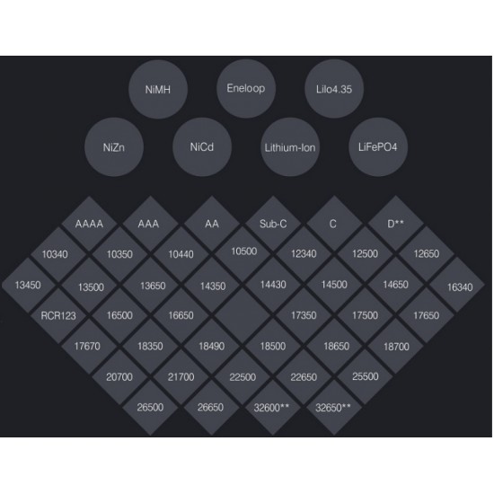 Charger SkyRC MC3000