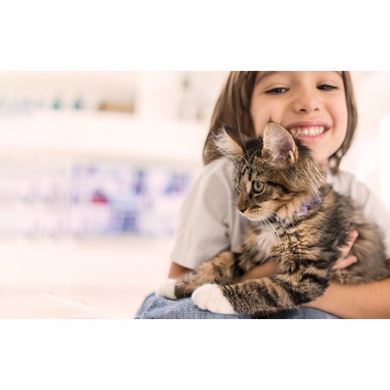 Petoneer Έξυπνος Εξολοθρευτής Οσμών (Odor Eliminator) (Λευκό)