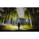 Head flashlight Superfire HL50, 150lm, USB