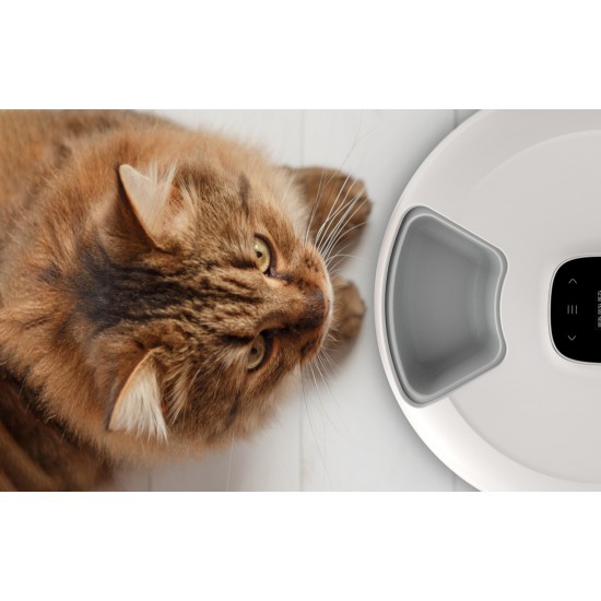 Petoneer Έξυπνη Ταΐστρα NutriSpin 6 Θέσεων (Λευκό)