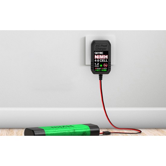 Charger SkyRC eN18 NiMH