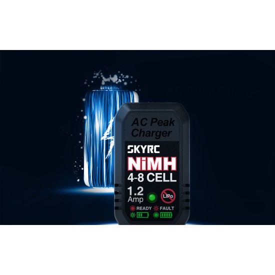 Charger SkyRC eN18 NiMH