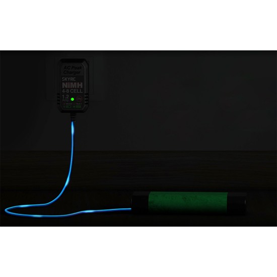 Charger SkyRC eN18 NiMH