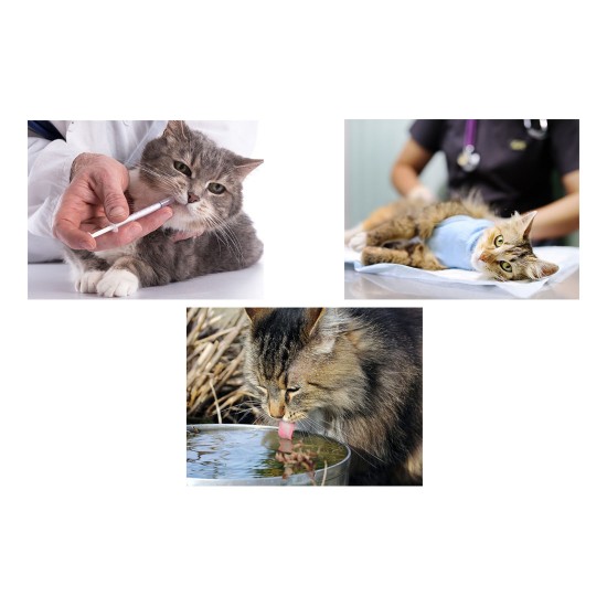 Petoneer Έξυπνη Ποτίστρα/Σιντριβάνι νερού για Κατοικίδια Fresco Ultra 2L (Λευκό)