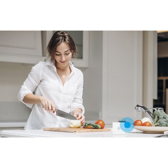 Sonoff Smart ZigBee Bridge Pro ZB Bridge-P (Λευκό)