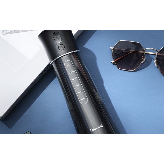 Water Flosser FairyWill F30 (black)