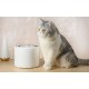 Fountain/ drinker for Dog and Cat PetKit Eversweet Wireless SUS304