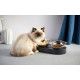 Bowls for dogs and cats Petkit Fresh Nano