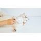 Grooming Brush for dogs and cats Petkit
