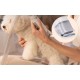 Pet grooming kit Petkit AirClipper 5-in-1