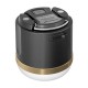 EcoFlow camping light