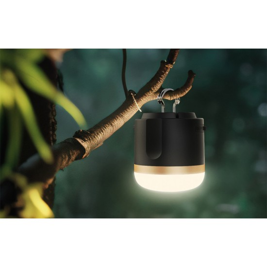 EcoFlow camping light
