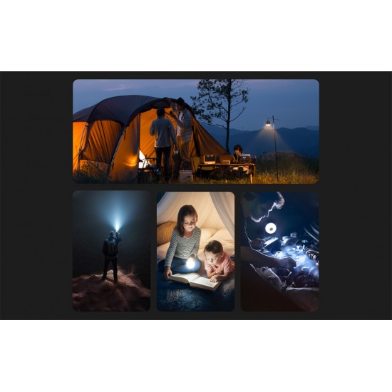 EcoFlow camping light
