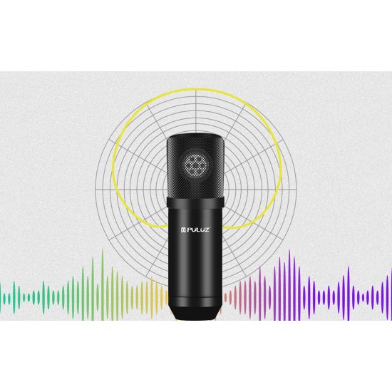 Condenser microphone Puluz PU612B Studio Broadcast