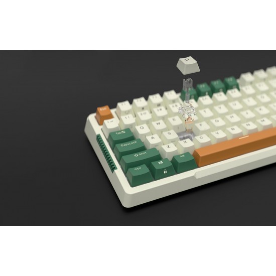 Wireless mechanical keyboard Royal Kludge RKH81 RGB, Sky cyan switch (green) (QWERTY)