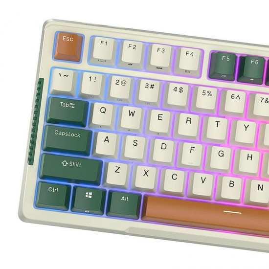 Wireless mechanical keyboard Royal Kludge RKH81 RGB, Sky cyan switch (green) (QWERTY)