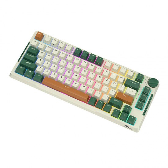 Wireless mechanical keyboard Royal Kludge RKH81 RGB, Sky cyan switch (green) (QWERTY)