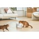 Catlink Pure 3 έξυπνο σιντριβάνι/ποτίστρα για σκύλους και γάτες