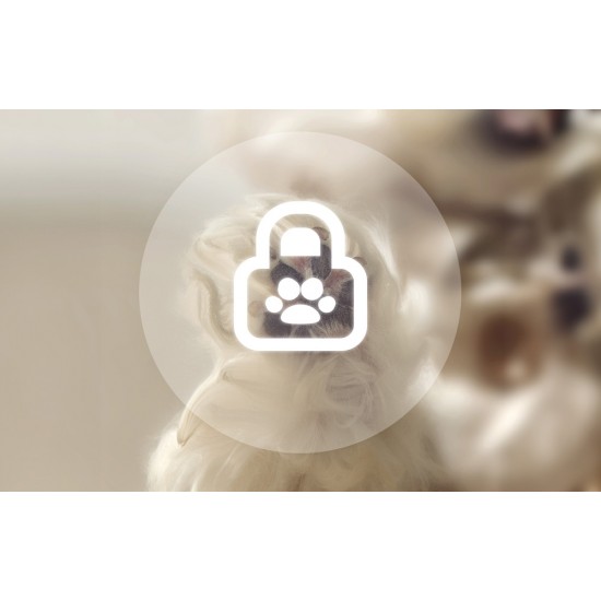 Rojeco Αυτόματος τροφοδότης κατοικίδιων ζώων 6 γευμάτων 3600mAh