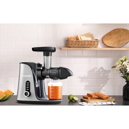 Slow Juicer AMZCHEF 3001-GA (Grey)