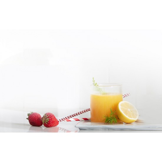Slow Juicer AMZCHEF 3001-GA (Grey)