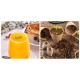 Slow Juicer AMZCHEF 3001-GA (Grey)
