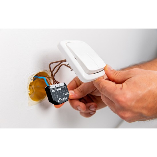 Shelly Qubino Wave2PM Controller, 2-channel, Z-Wave (Power measurement)