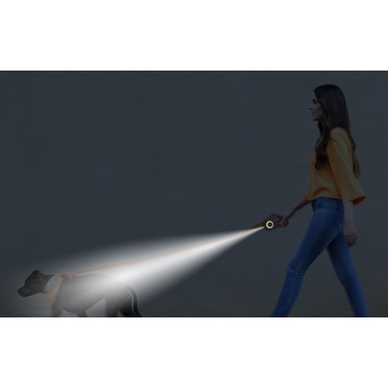 Rojeco Αυτόματο λουρί σκύλου LED 5 m (πράσινο)