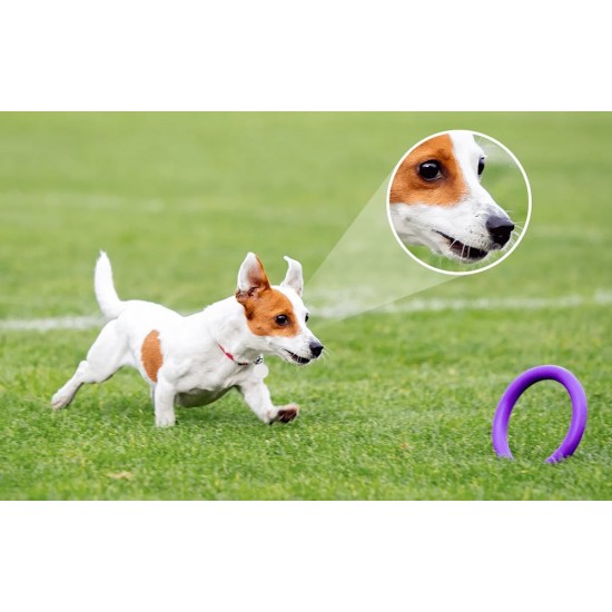 2in1 Bulb and 360° Outdoor Camera WiFi IMOU Bulb Cam 5MP