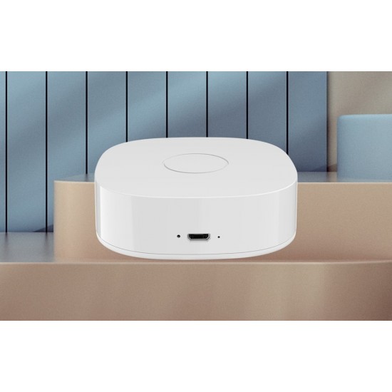 Έξυπνο σπίτι WS2GW-R WiFi