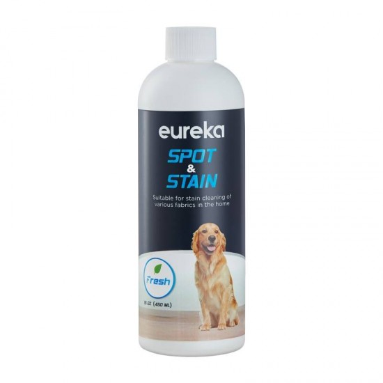 EUREKA NEY100 ηλεκτρική σκούπα πλύσης