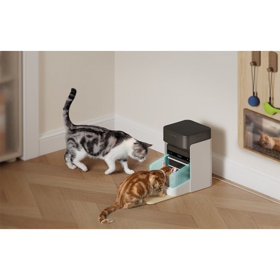 Petlibro RFID έξυπνος διανομέας τροφής με κολάρο, 3L PL-AF301-31B