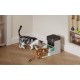 Petlibro RFID έξυπνος διανομέας τροφής με κολάρο, 3L PL-AF301-31B
