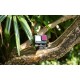 Filter Freewell CPL for GoPro HERO 9/10/11/12