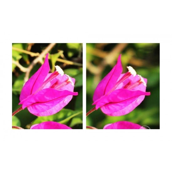 3 filters ND16+ND64+ND256 Sunnylife for Pocket 3