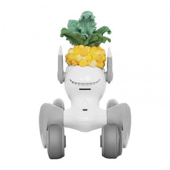 Πλεκτό κοστούμι για το Loona Premium Pineapple