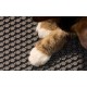 Petlibro Luma – Τάπητας για την τουαλέτα γάτας PL-LM001-31W