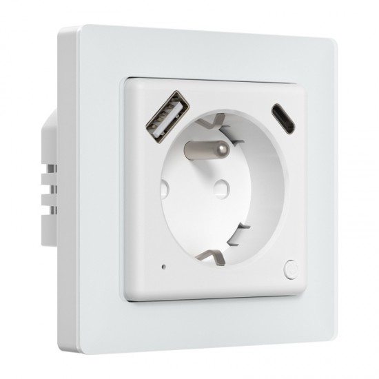 Avatto WOT20-FR Smart plug