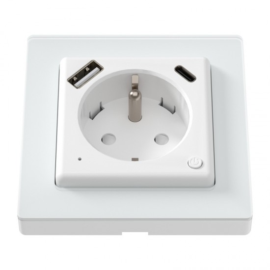 Avatto WOT20-FR Smart plug