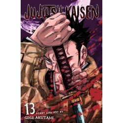 JUJUTSU KAISEN, VOL. 13 PA