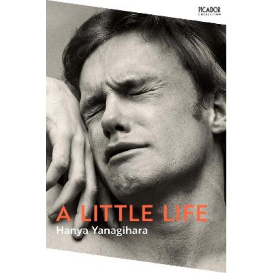 A LITTLE LIFE