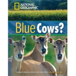 NGR : BLUE COWS? B1 (+ DVD)