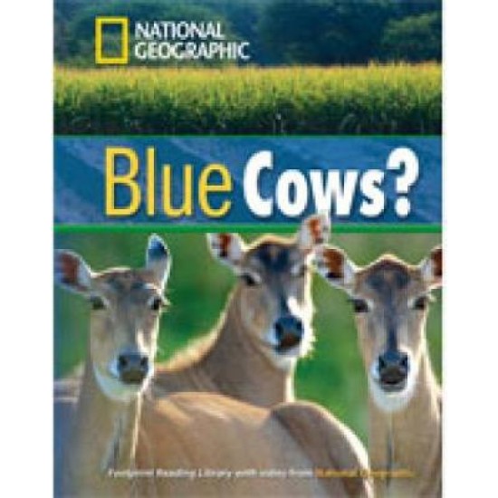 NGR : BLUE COWS? B1 (+ DVD)