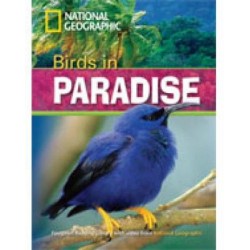 NGR : BIRDS IN PARADISE B1 (+ DVD)