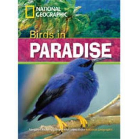 NGR : BIRDS IN PARADISE B1 (+ DVD)