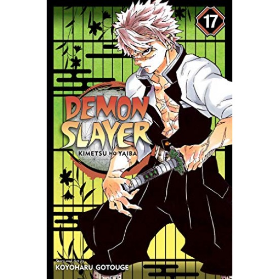 DEMON SLAYER, VOL. 17 PA