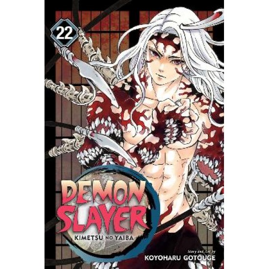 DEMON SLAYER, VOL. 22 PA