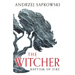 THE WITCHER 3: BAPTISM OF FIRE N/E